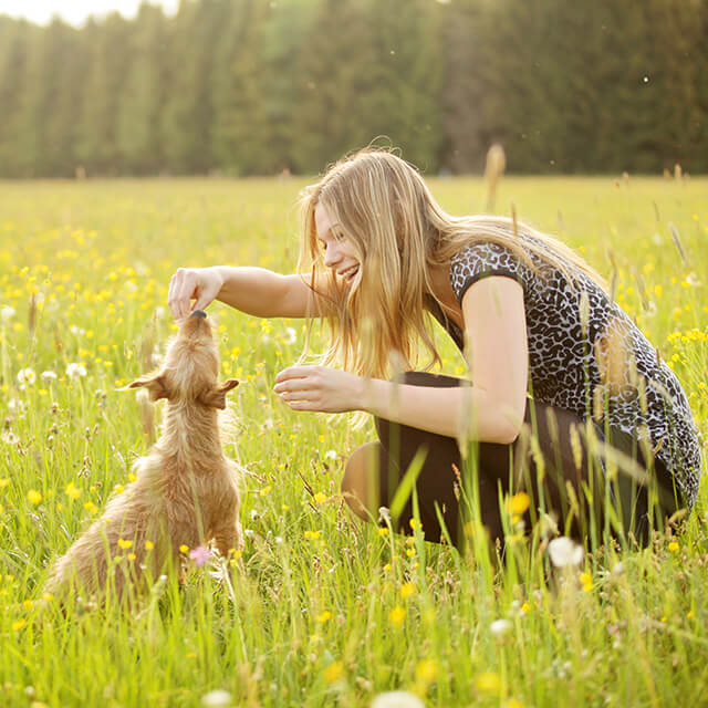 How to communicate with your dog – and the mistakes to avoid