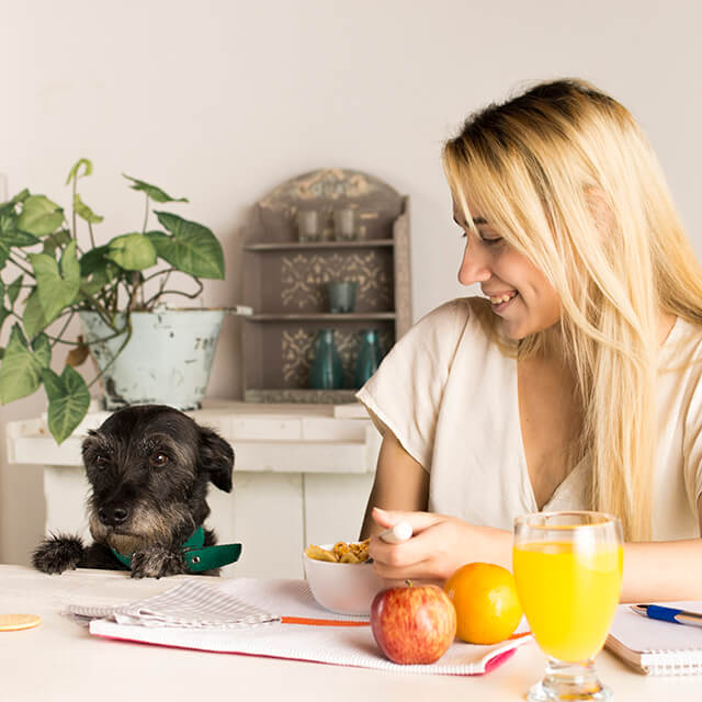 Dog sat at dining table with girl looking at fruit