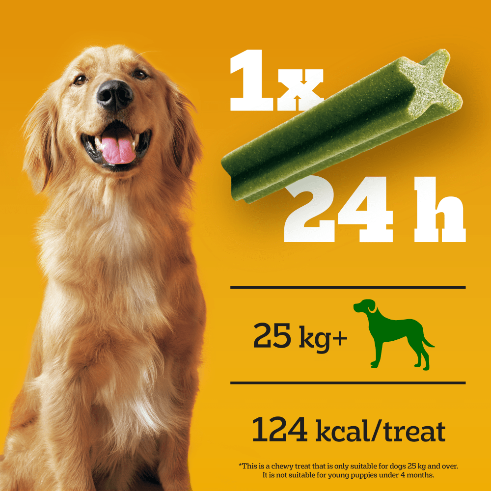 PEDIGREE® DENTASTIX™ Fresh Daily Dental Chews Large Dog 4, 21 Sticks