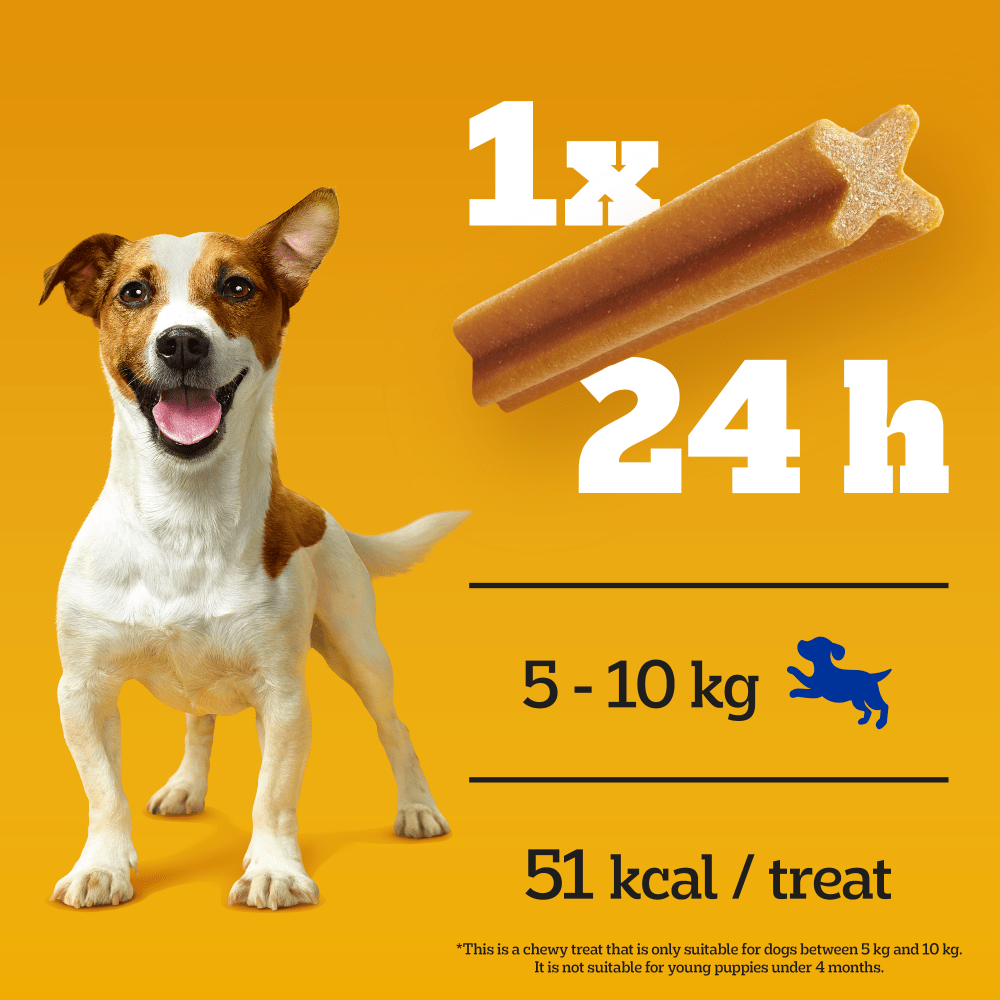 PEDIGREE® DENTASTIX™ Daily Dental Chews Small Dog 7, 35, 70 Sticks