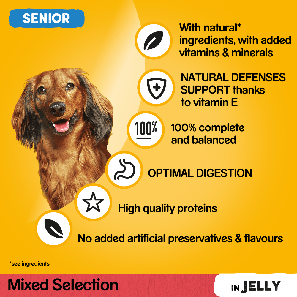 PEDIGREE® Senior Mixed Selection in Jelly Wet Dog Food Pouches 12 x 100g