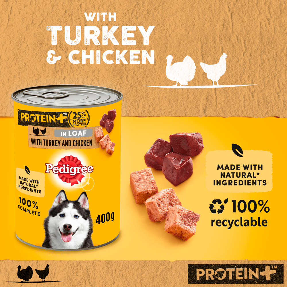 PEDIGREE® PROTEIN +™ Wet Dog Food Tin with Turkey & Chicken in Loaf 400g