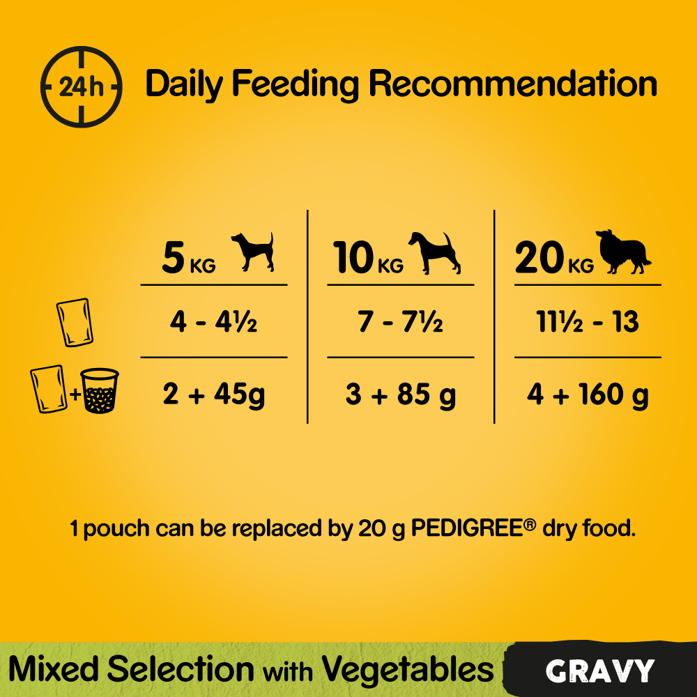 PEDIGREE® Mixed Selection in Gravy Adult Wet Dog Food Pouches 12 x 100g