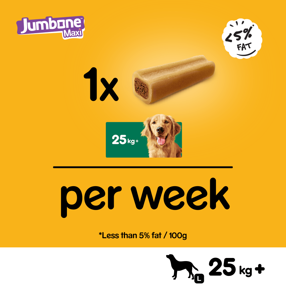 PEDIGREE® JUMBONE™ Maxi Large Dog Treat with Beef & Poultry 1 Chew