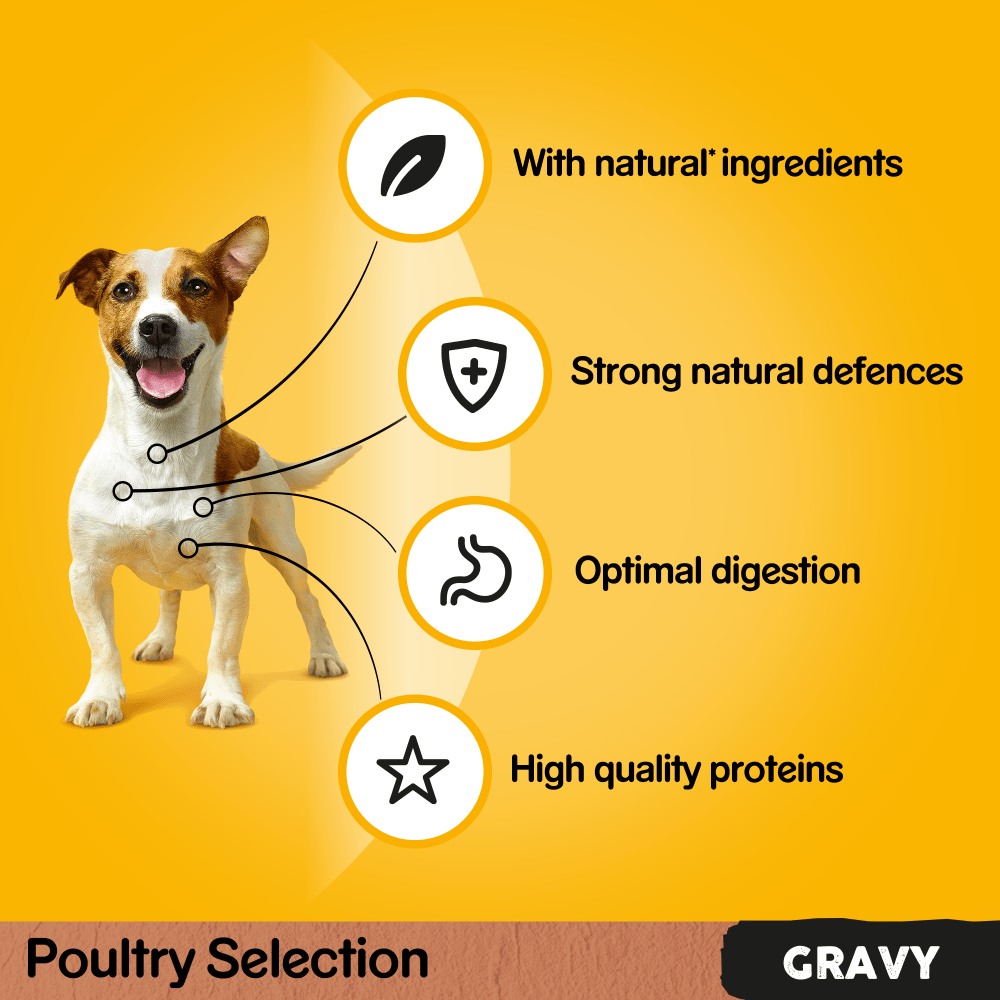 PEDIGREE® Poultry Selection in Gravy Adult Wet Dog Food Pouches 12 x 100g