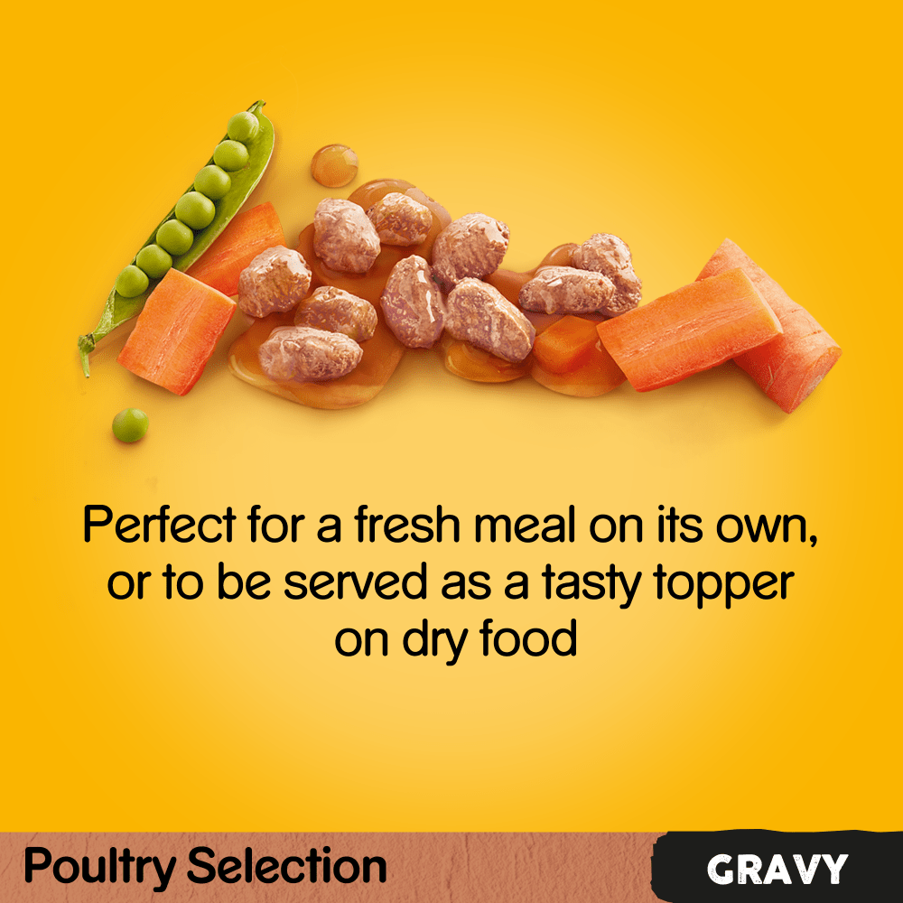 PEDIGREE® Poultry Selection in Gravy Adult Wet Dog Food Pouches 12 x 100g
