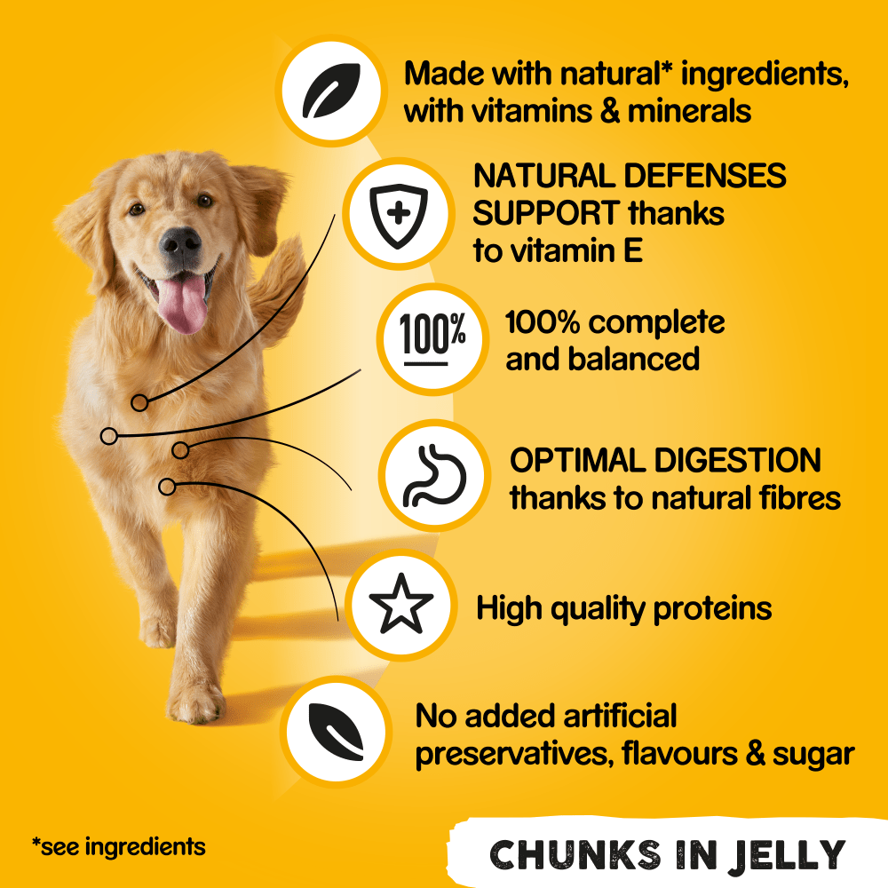 PEDIGREE® Chunks in Jelly Adult Wet Dog Food Tins 6 x 400g