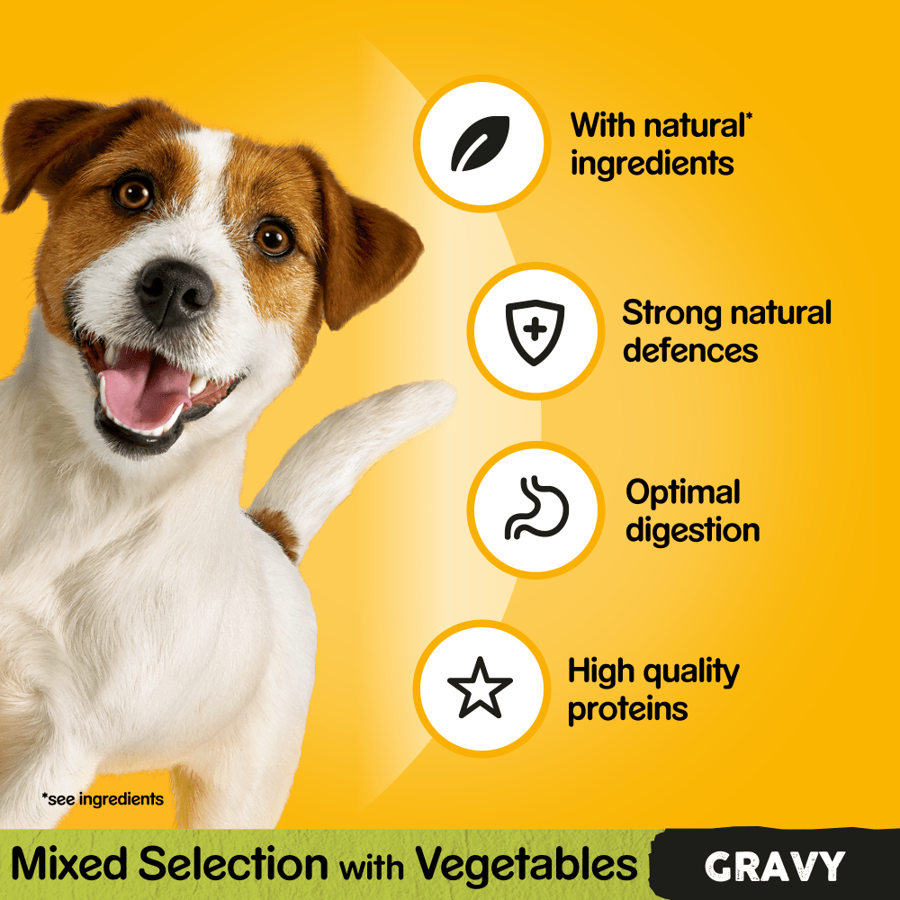PEDIGREE® Mixed Selection in Gravy Adult Wet Dog Food Pouches 12 x 100g