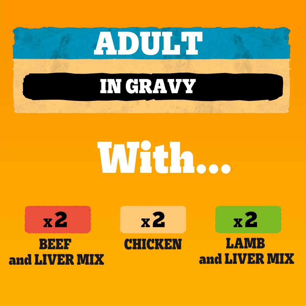 PEDIGREE® Adult Wet Dog Food Mixed Selection in Gravy 6 x 400g,12 x 400g Can