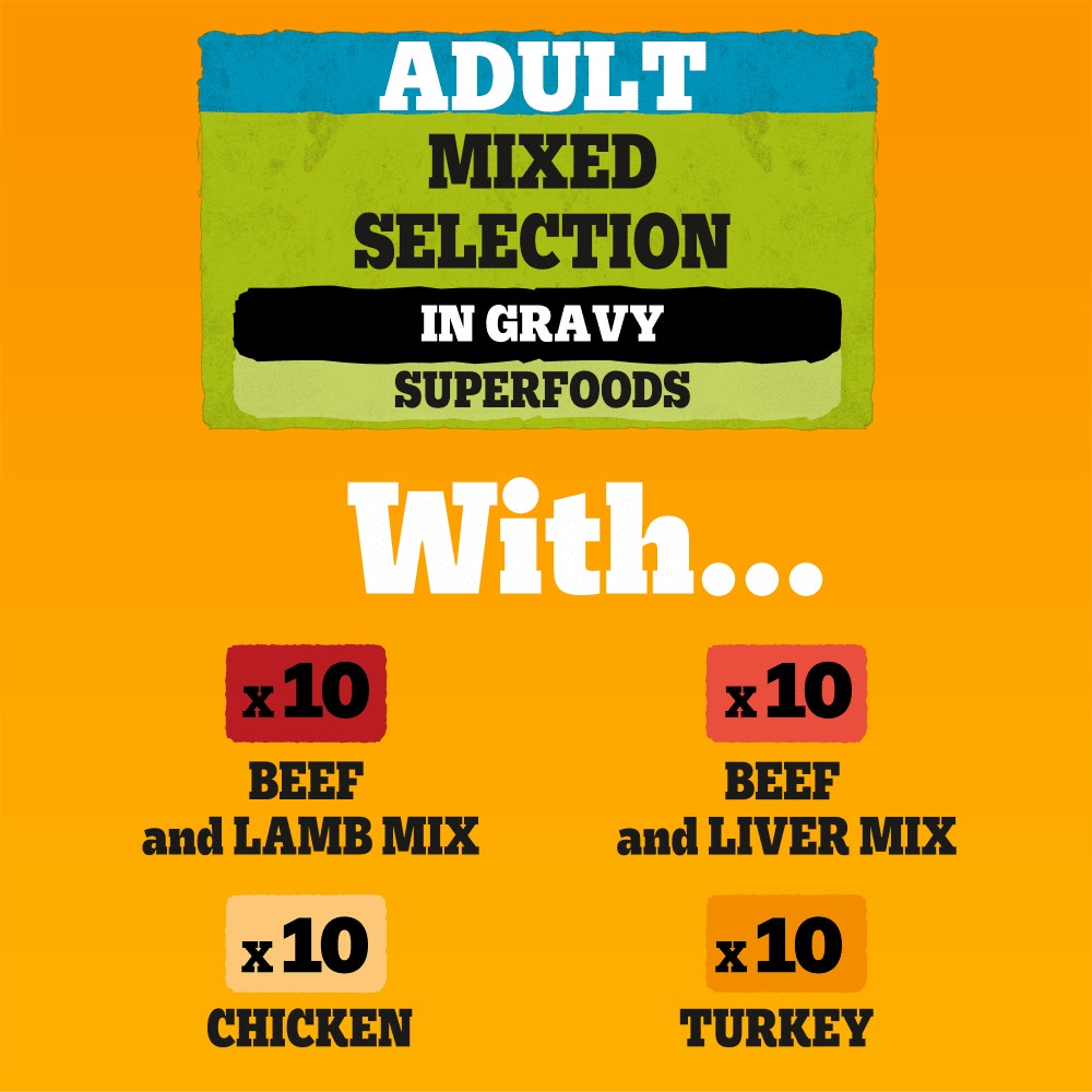 PEDIGREE® Adult Wet Dog Food Mixed in Gravy 40 x 100g Mega Pack Pouch