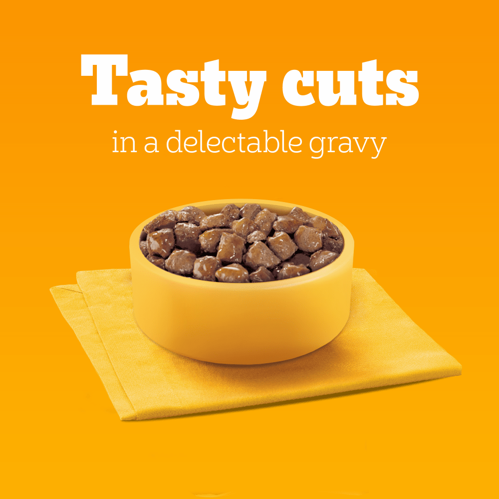 PEDIGREE® VITALITY+  Adult Wet Dog Food Selection in Gravy 12 x 85g Pouch