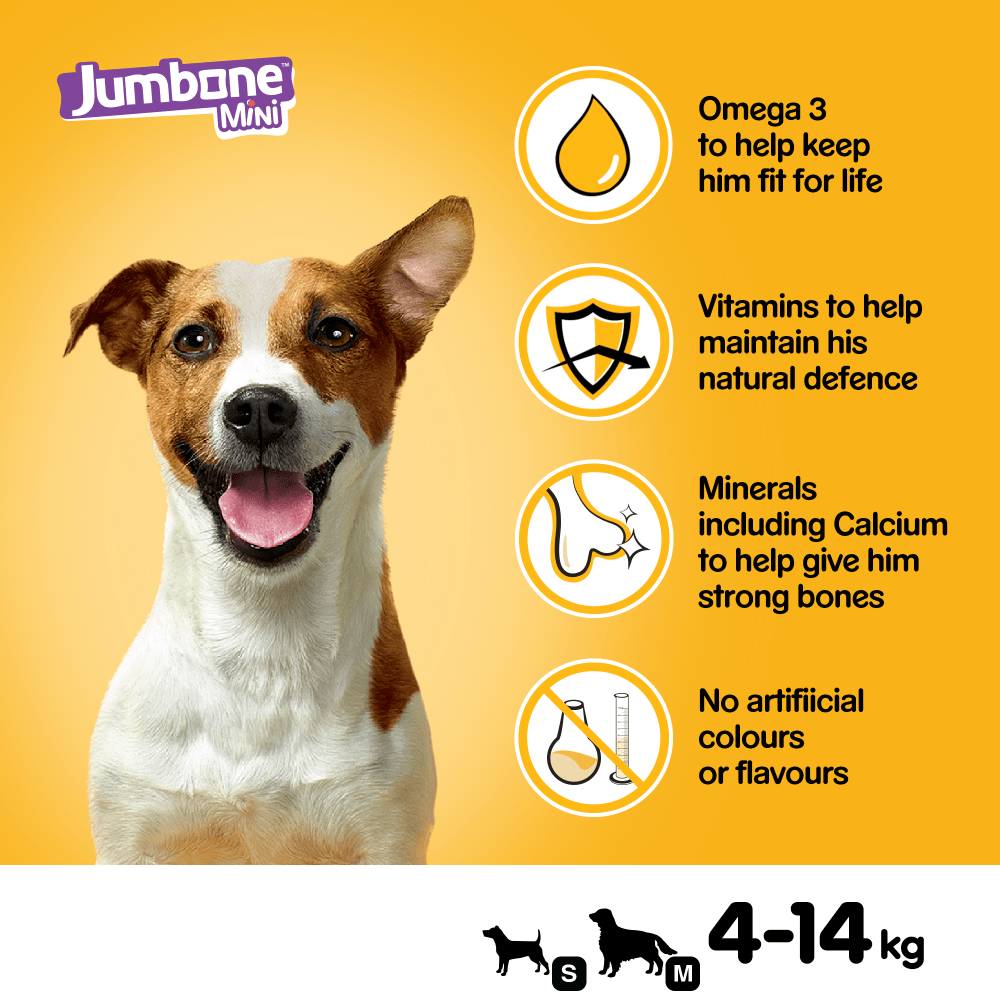 PEDIGREE® JUMBONE™ Mini Adult Small Dog Treats Beef & Poultry 4 Chews 160g