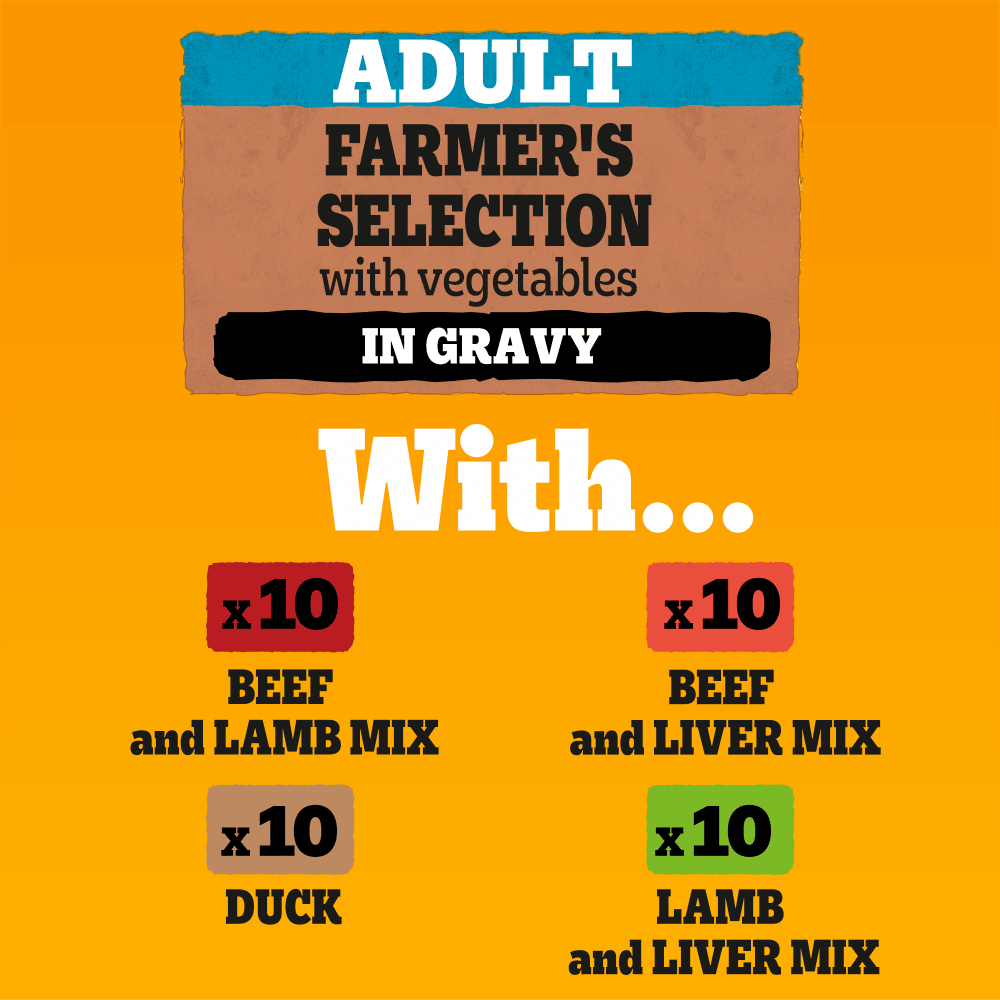 PEDIGREE® Adult Wet Dog Food Farmers Selection In Gravy 40 x 100g Pouch