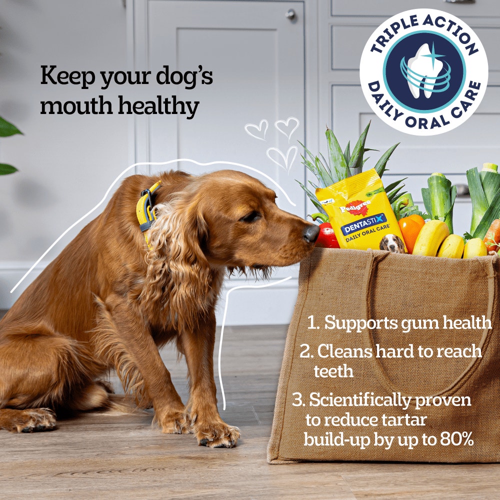 PEDIGREE® DENTASTIX™ Daily Dental Chews Small Dog Treat 1.1kg,1.65kg,50g,110g