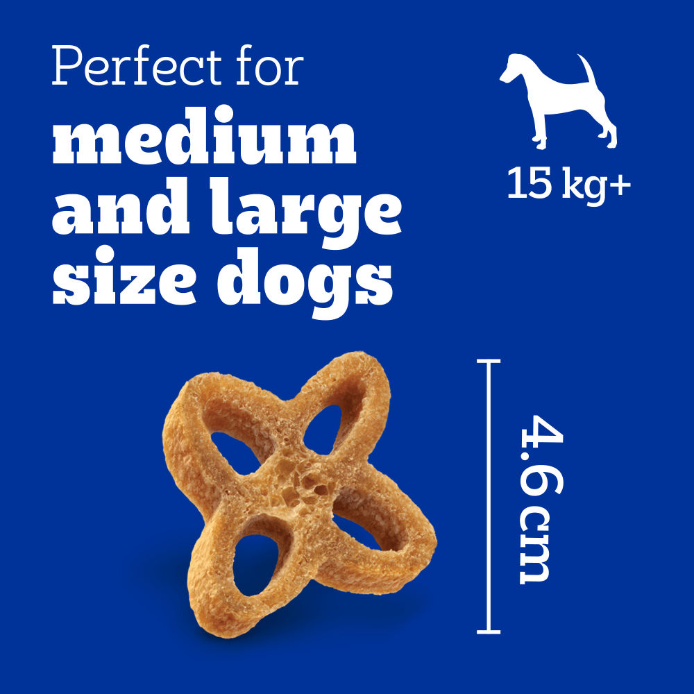 PEDIGREE® DENTASTIX™ CHEWY CHUNX™ Maxi Adult Dog Treats Chicken 68g