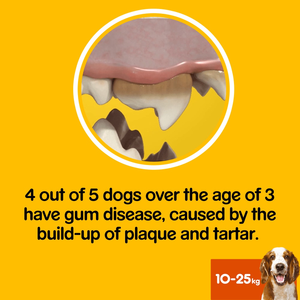 PEDIGREE® DENTASTIX™ Advanced Medium Dog Treat 1 x Dental Chew 80g
