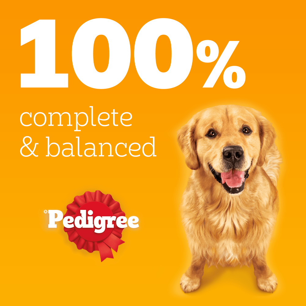 PEDIGREE® Adult Wet Dog Food Mixed Selection in Gravy 6 x 400g,12 x 400g Can