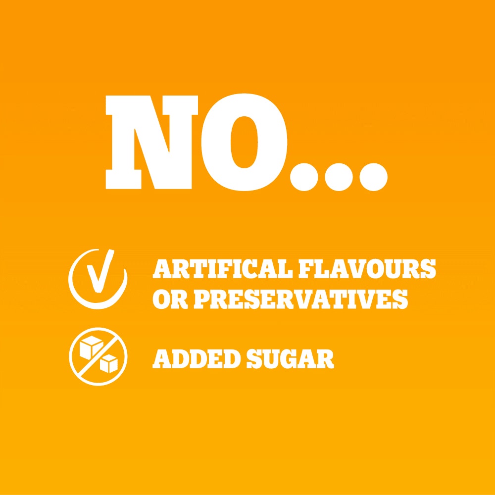 PEDIGREE® Adult Wet Dog Food Chunks in Gravy with Chicken 400g Can