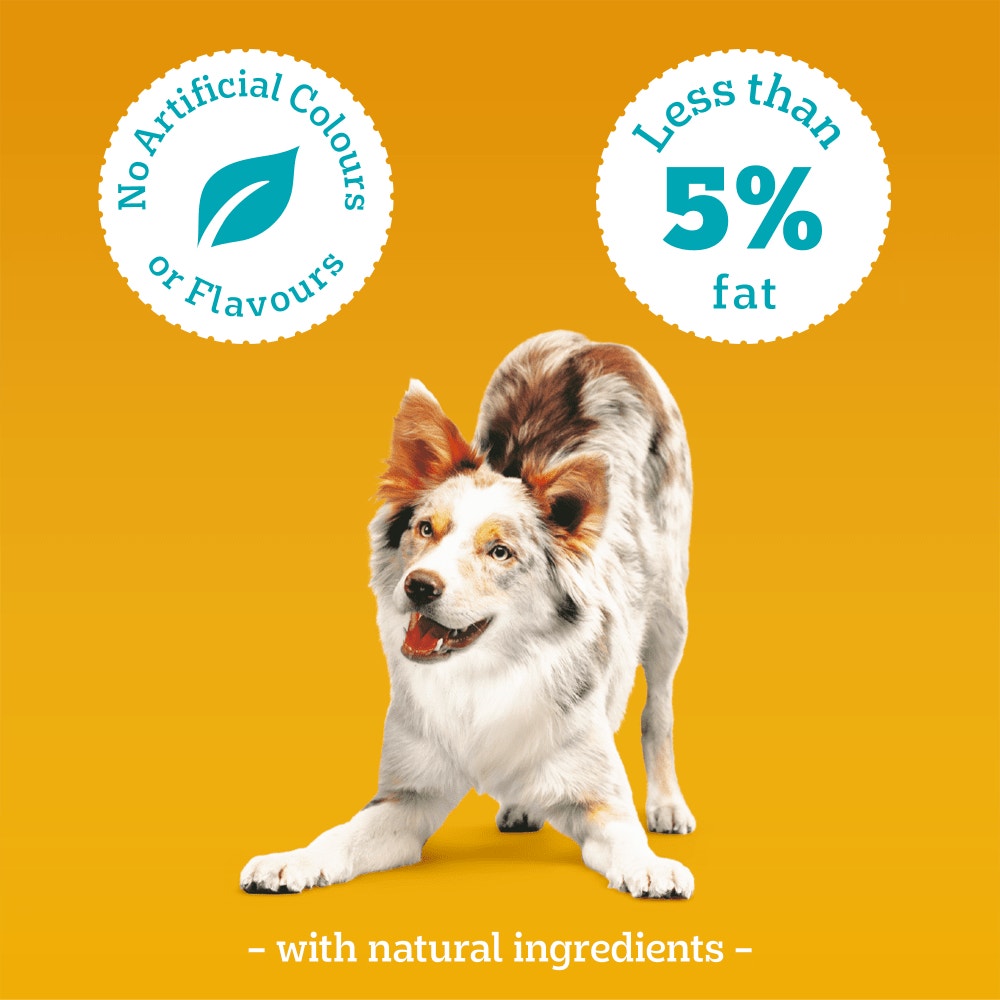 PEDIGREE® TASTY MINIS Adult Dog Treats Cheese & Beef Nibbles 140g
