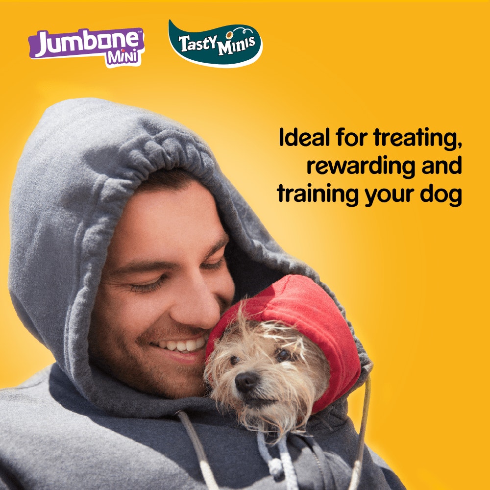 PEDIGREE® Tasty Minis & JUMBONE™ Adult Small Dog Treats Mega Box 740g