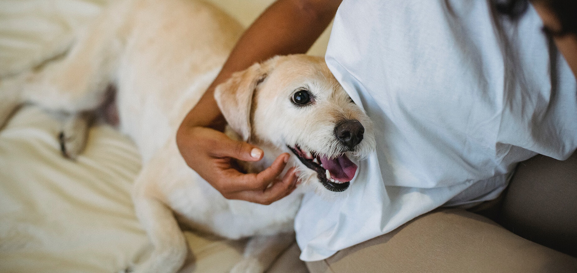black woman stroking a dog on bed