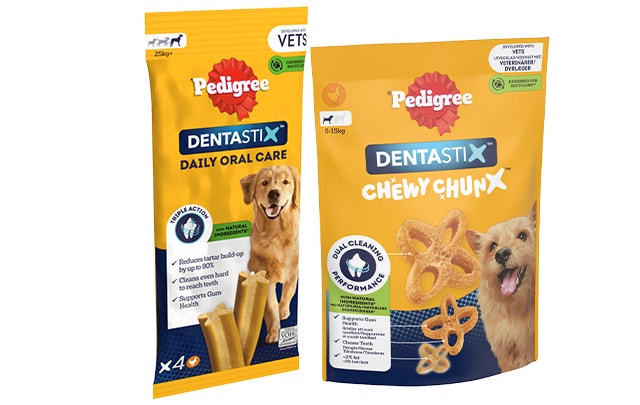 Adult Dog Chews for Dental Care