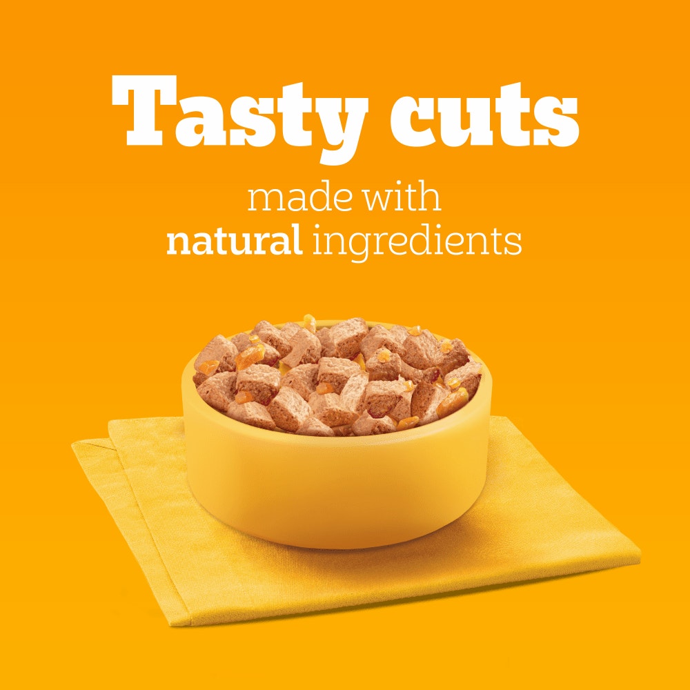 PEDIGREE® Adult Wet Dog Food Mixed Selection in Jelly 12 x 385g, 24 x 385g Can