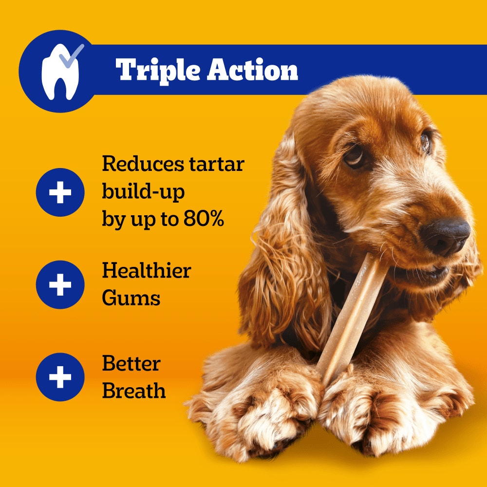 PEDIGREE® DENTASTIX™ Daily Dental Chews Small Dog Treat 1.1kg, 1.65kg, 550g, 110g