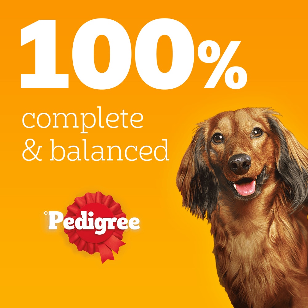 PEDIGREE® Senior Wet Dog Food Mixed Selection In Jelly 12 x 100g, 40 x100g Pouch