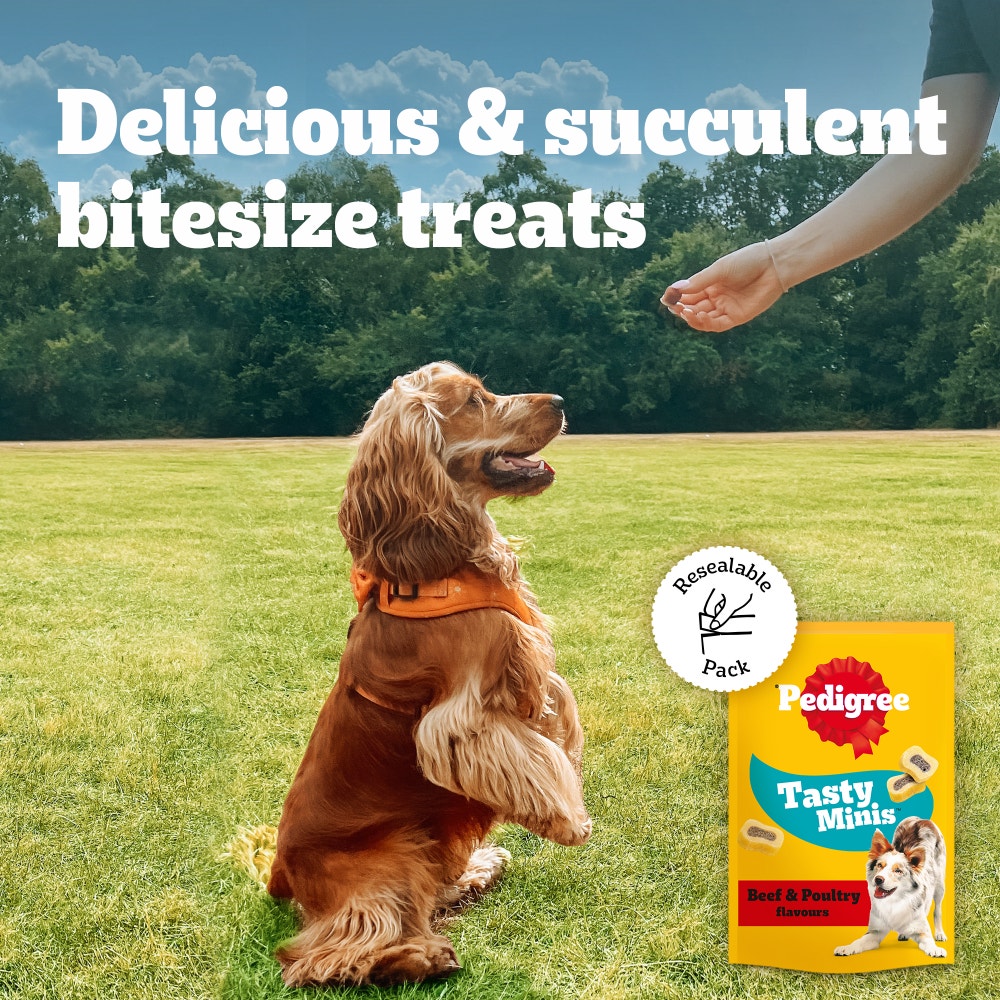 PEDIGREE® TASTY MINIS Adult Dog Treats Beef & Poultry Chewy Slices 155g