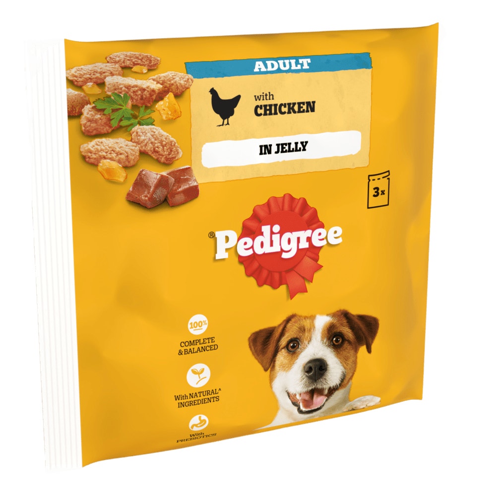 PEDIGREE® Adult Wet Dog Food Pouches Chicken in Jelly 3 x 100g