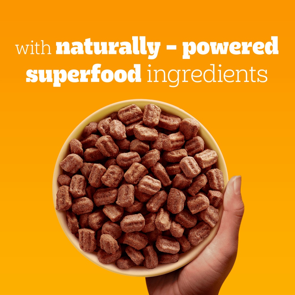 PEDIGREE COMPLETE Senior Dry Dog Food Poultry and Vegetables 3kg