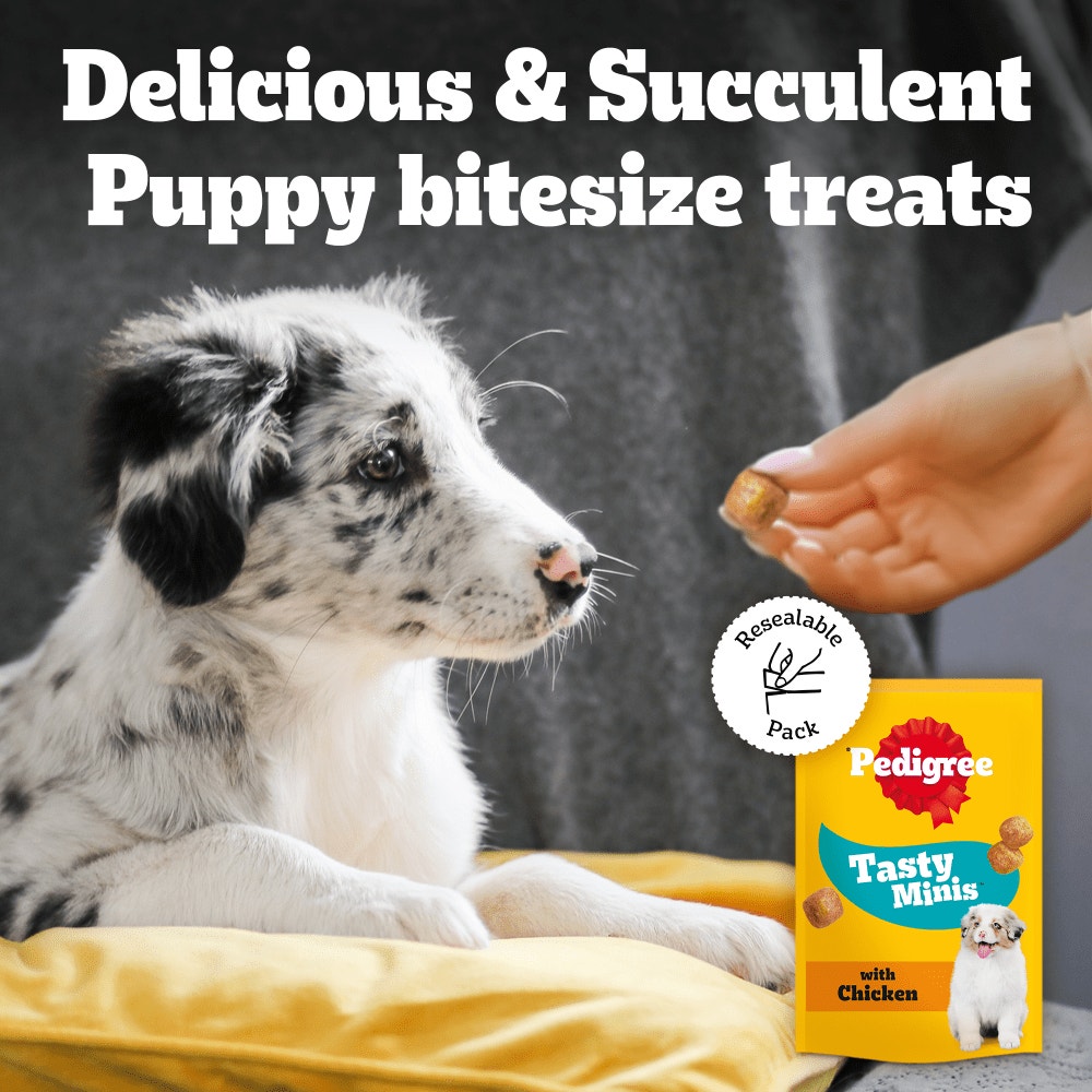 PEDIGREE® TASTY MINIS Puppy Dog Treats Chicken Chewy Cubes 125g