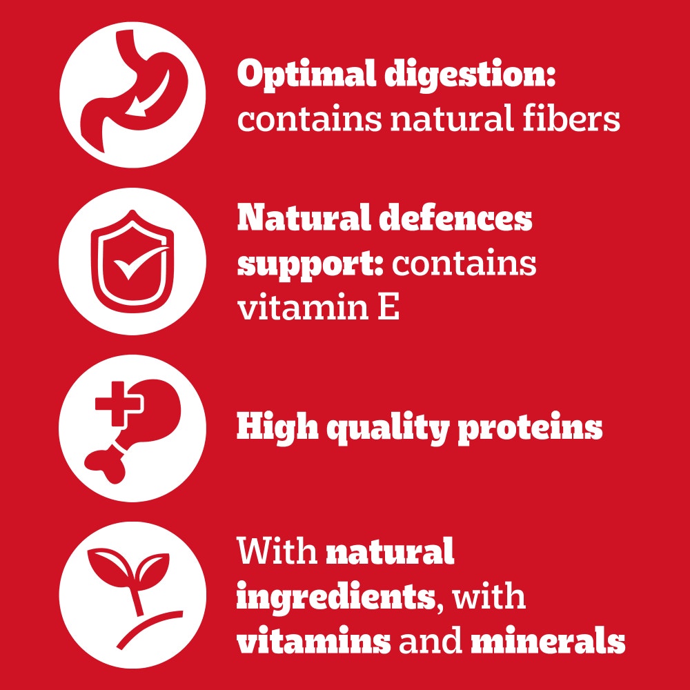 PEDIGREE® Senior Wet Dog Food Mixed Selection in Loaf 6 x 400g Cans