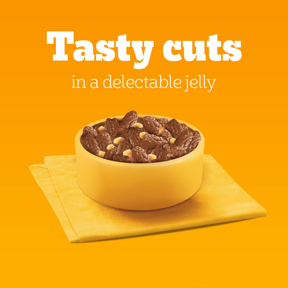 PEDIGREE® Adult Wet Dog Food with Beef & Liver Mix in Gravy 3 x 100g Pouch