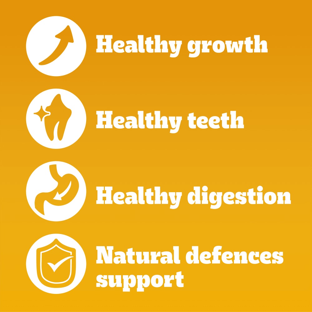 PEDIGREE® COMPLETE™ Junior/Puppy Dry Dog Food Poultry and Vegetables 12kg, 3kg