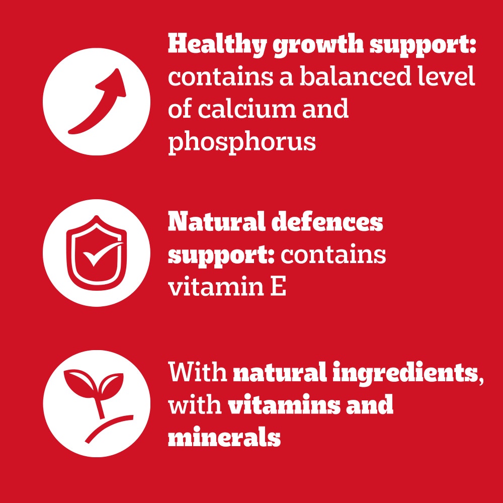 PEDIGREE® Junior Puppy Wet Dog Food Mixed Selection in Jelly 6 x 400g Can