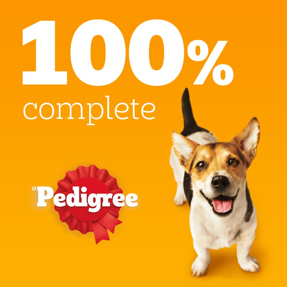 PEDIGREE® COMPLETE™ Dry Small Dog Food with Poultry & Vegetables 3kg, 1.4kg