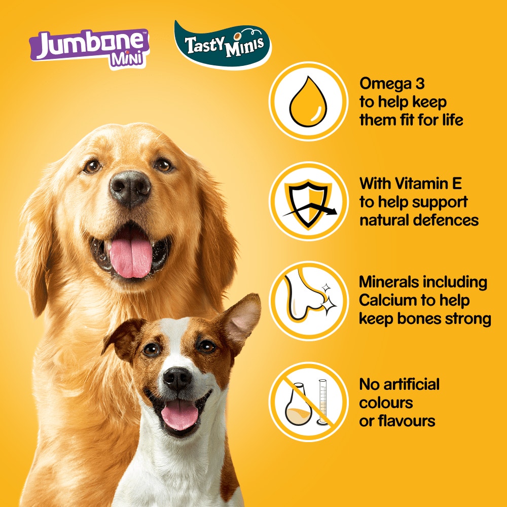 PEDIGREE® Tasty Minis & JUMBONE™ Adult Small Dog Treats Mega Box 740g
