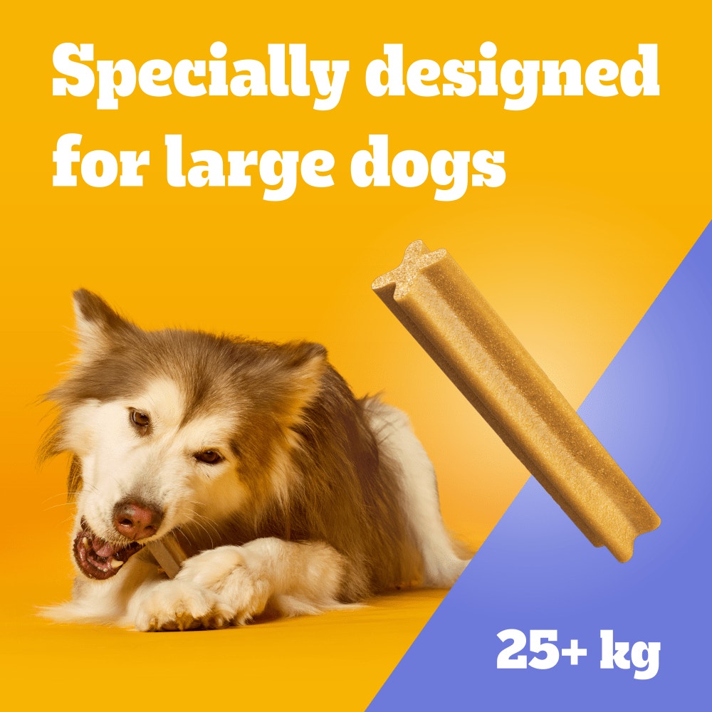 PEDIGREE DENTASTIX Daily Dental Chews Large Dog Treats 4 Sticks