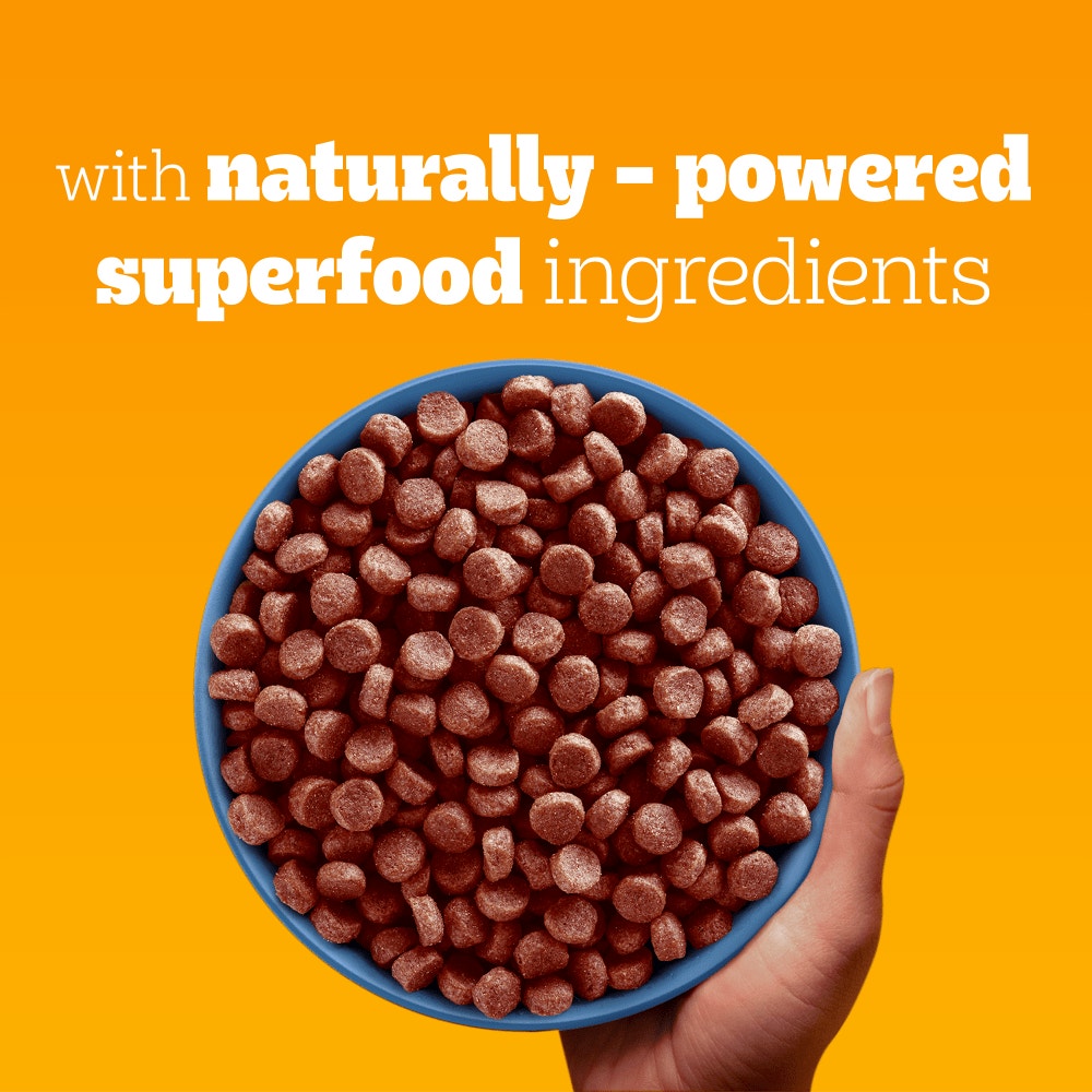 PEDIGREE COMPLETE Junior/Puppy Dry Dog Food Beef and Vegetables 1.4kg