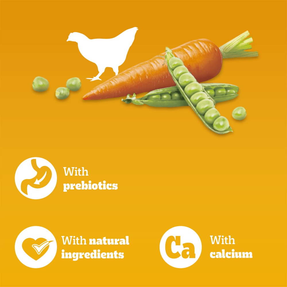 PEDIGREE® COMPLETE™ Junior/Puppy Dry Dog Food Poultry and Vegetables 12kg, 3kg