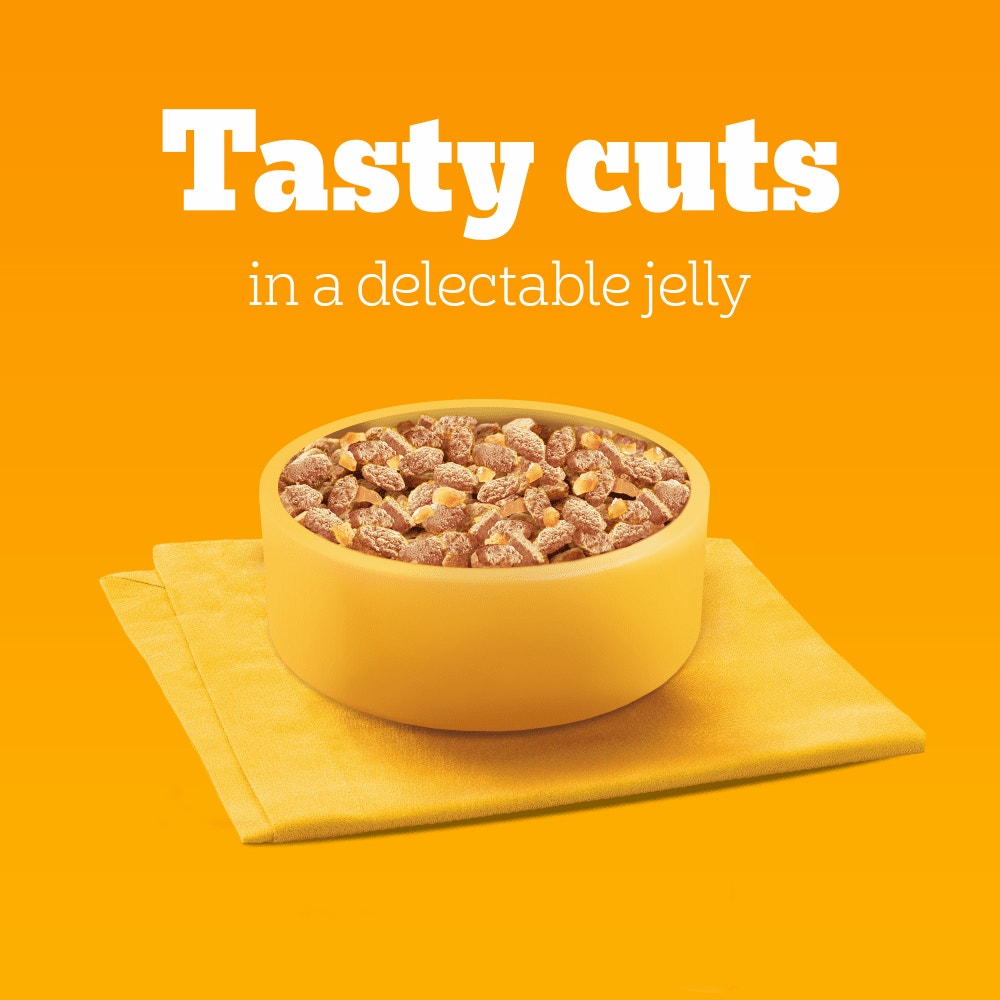 PEDIGREE® Adult Wet Dog Food Pouches Chicken in Jelly 3 x 100g