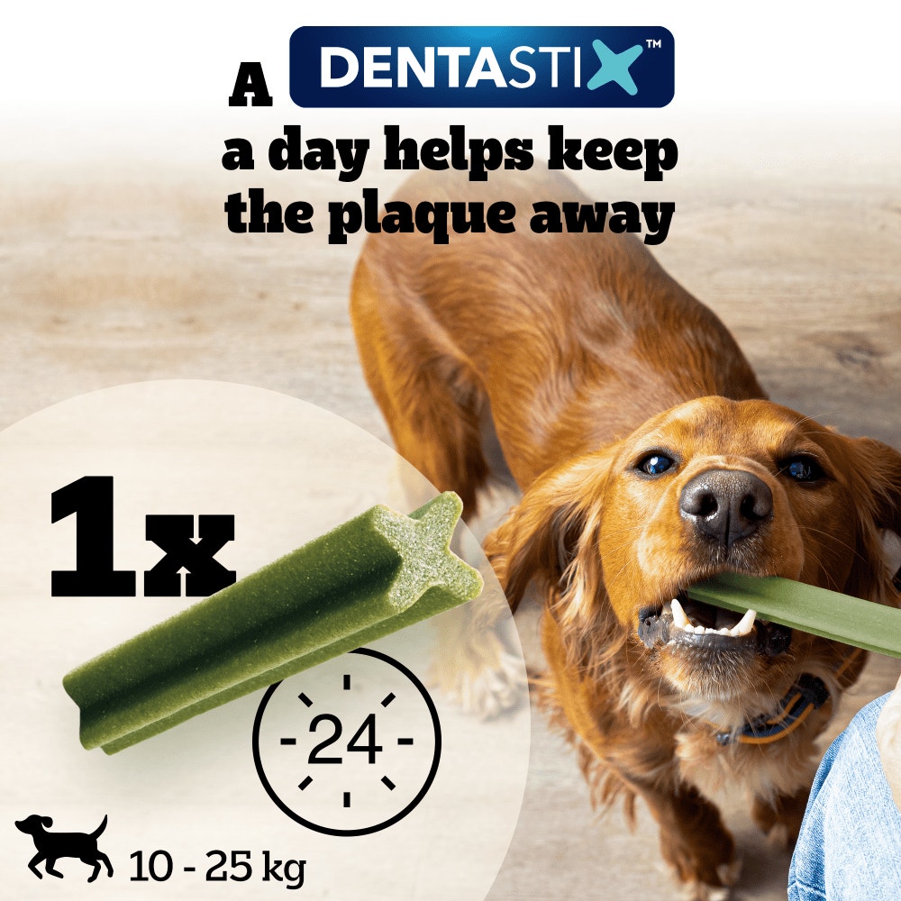 PEDIGREE® DENTASTIX™ Fresh Daily Dental Chews Medium Dog Treat 720g,128g