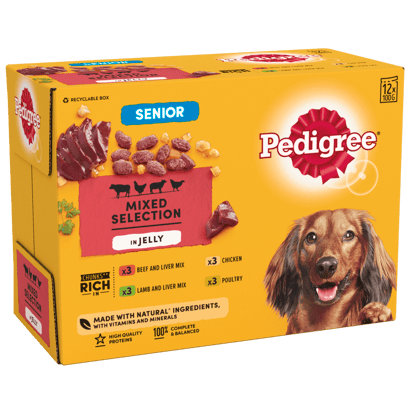 Senior Mixed Selection in Jelly Wet Dog Food Pouches