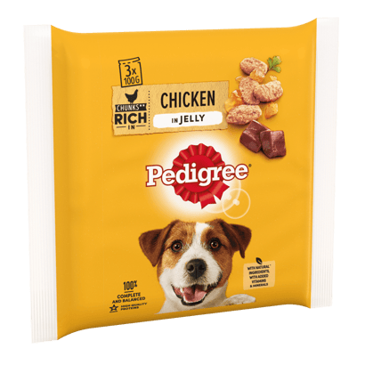 Adult Wet Dog Food Pouches with Chicken in Jelly