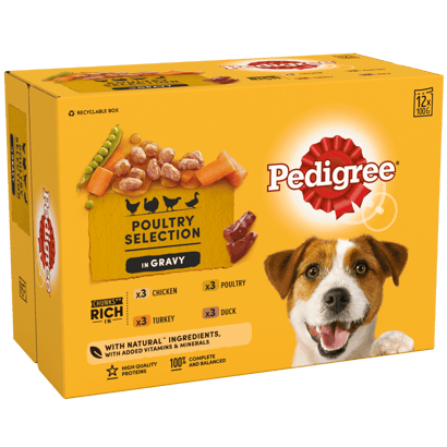 Poultry Selection in Gravy Adult Wet Dog Food Pouches