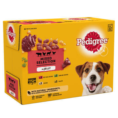 Mixed Selection in Jelly Adult Dog Pouches