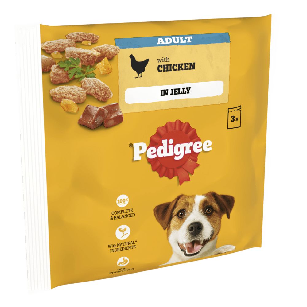 Adult Wet Dog Food Pouches Chicken in Jelly