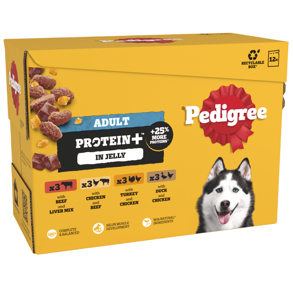 PROTEIN +™ Adult Wet Dog Food  Selection in Jelly Pouch